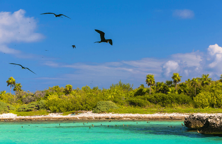 Isla Contoy 